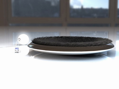 ͹֮ĳF(sh)x
