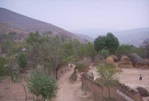 o̺ӹ(sh)FҎģl(f)չ