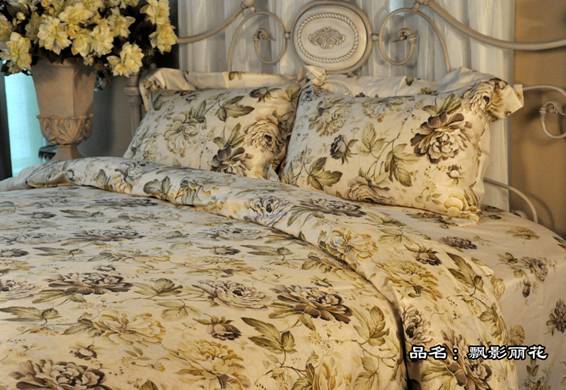 ϺҼ2009Įa(chn)Ʒ¡صǈ(chng)