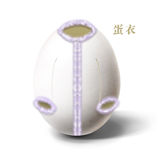 ᣺u(chung  )Ʒp