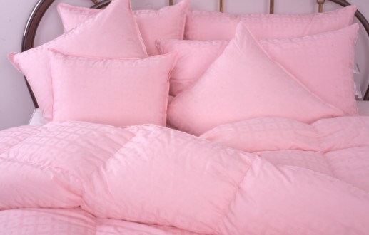 ǧǧq2010Ʒl(f)(hu )