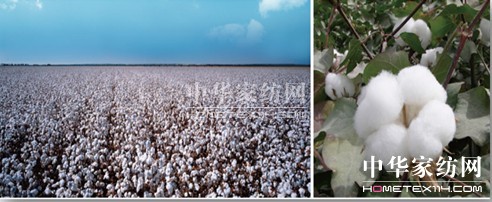 NN(xio)һw (chung  )Ҽwϵ