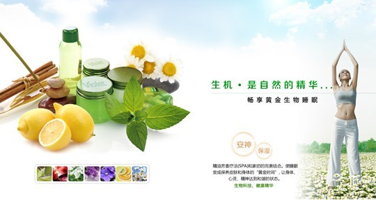 紫羅蘭生機家紡筑健康睡眠首道防線(xiàn)