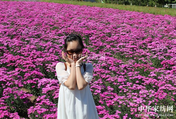 Ҽ푡(i)ڲϱ(dng)