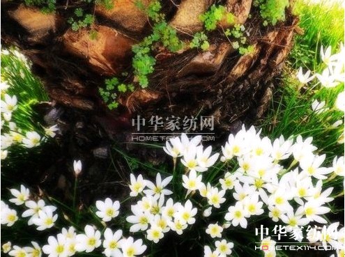 zҼƌW(xu)oF