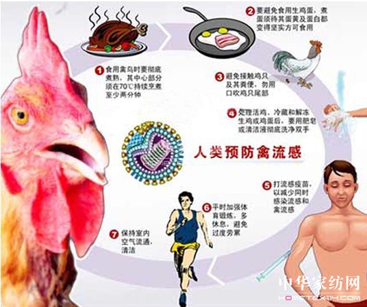 (zhun)ҽxAָϼoʩ
