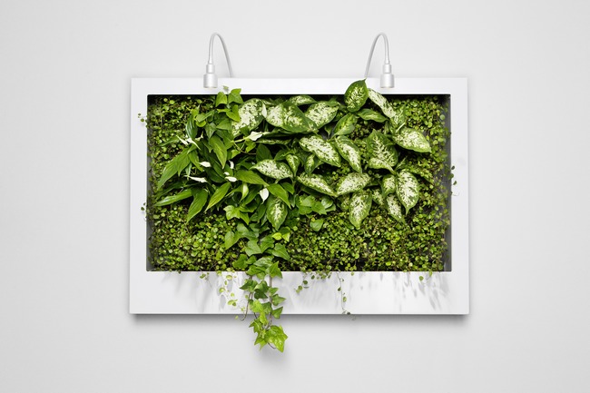 ׌ɫM(mn)ݵk^҃ȾGֲ