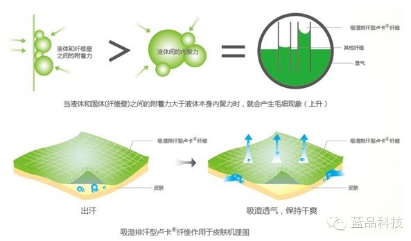 {ƷƼeļ˯(sh)Fˬ(mng)