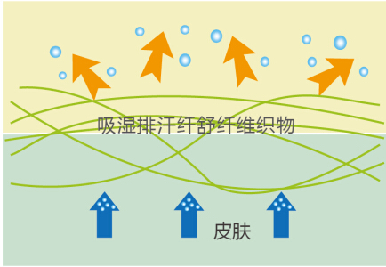 {ƷƼeļ˯(sh)Fˬ(mng)