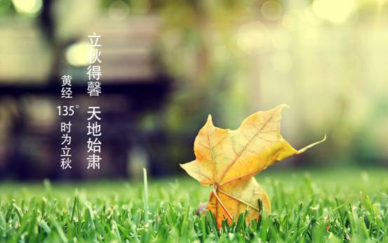 ɼɼҼ@(g)cゃһ