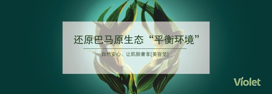 _mҼ(i)(i)360㝍˯