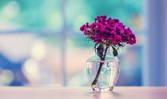 _mҼz˲gỬڻ