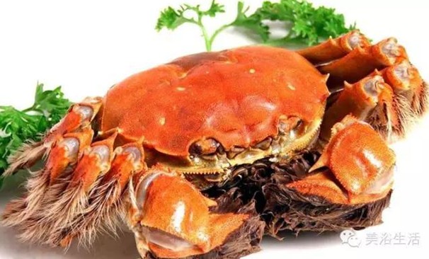 ԡÂĴlззSʳзȯзë
